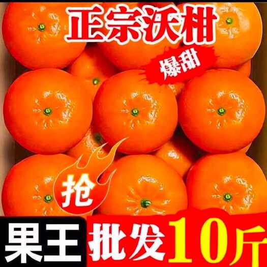 攸县一级砂糖蜜橘