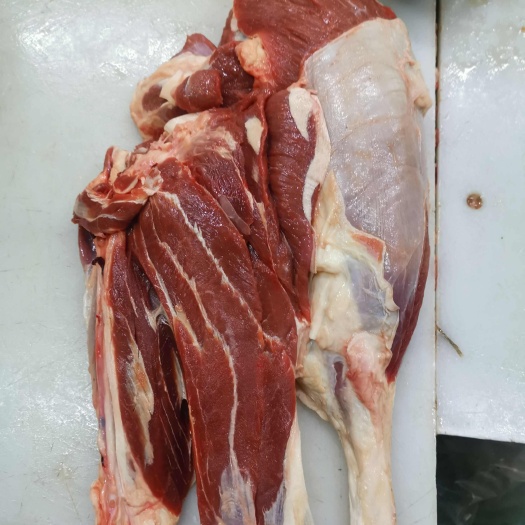 大厂县国产前后腱子