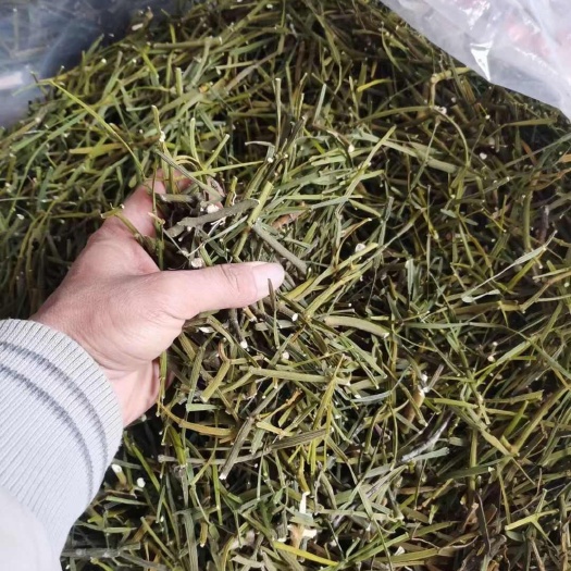 广南县寄生，螃蟹脚，干货包邮，品质货，一分钱一分货