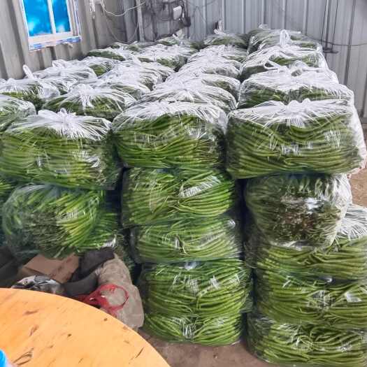 绵阳精品二荆条，薄皮辣椒！