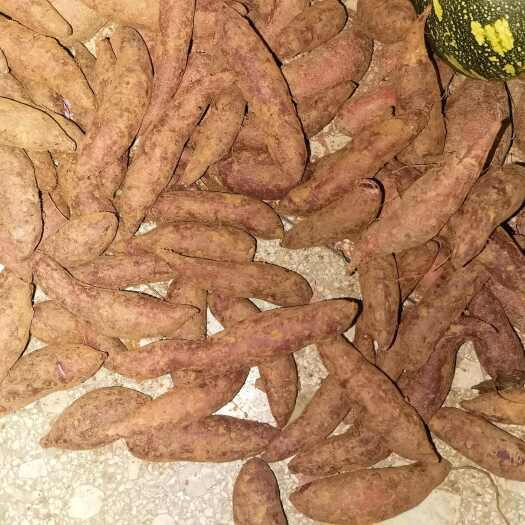 永州紫薯