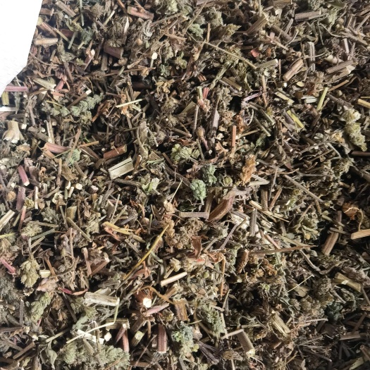 西和县优质荆芥全草中药材批发