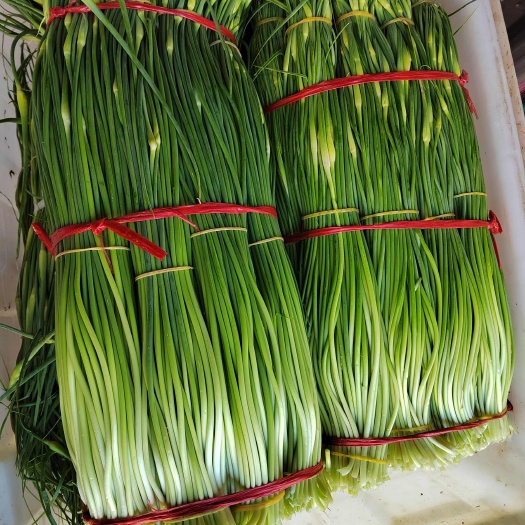 云南新蒜苔上货了
