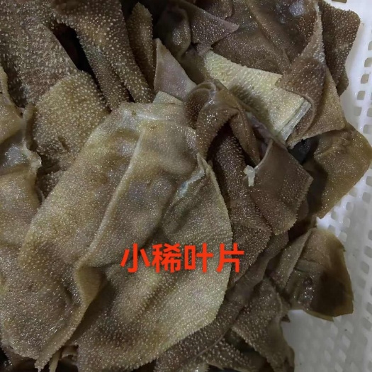 彭州市小稀叶片
