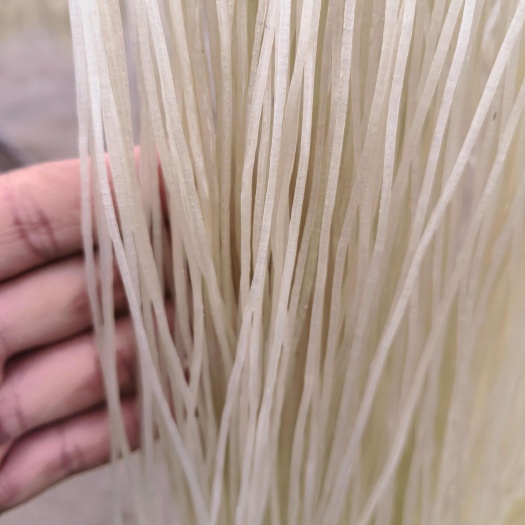 行唐县【纯红薯粉条】河北行唐农家手工制作 质量保证 全国发货