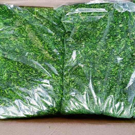 沧县速冻荠菜碎荠菜馅饺子馅包子馅
