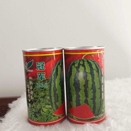 大果型青花皮西瓜种子冠军868种子80克装700粒左右