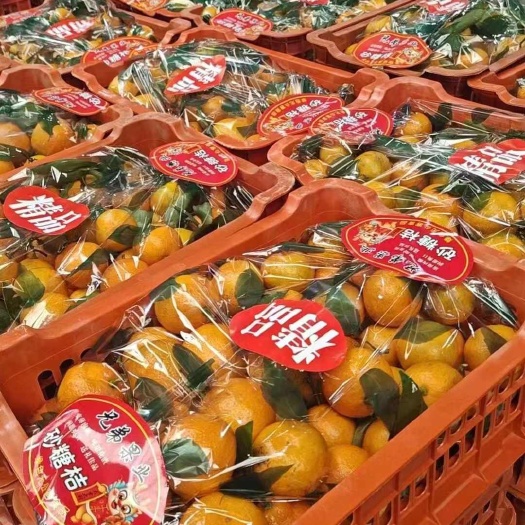 青岛小叶蜜橘 20一筐 9斤