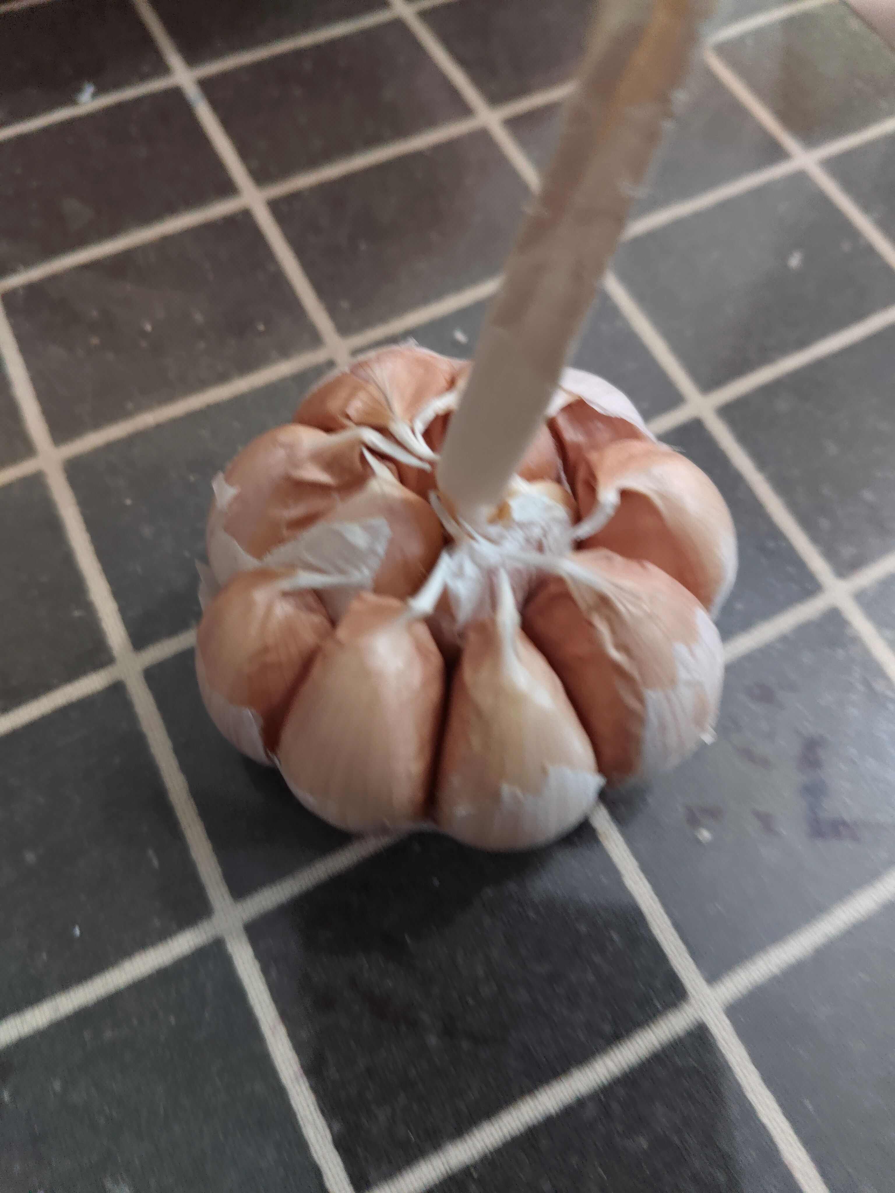 紫皮蒜 杞县产地直发 河南特产 大蒜头个大饱满均匀 香味浓郁