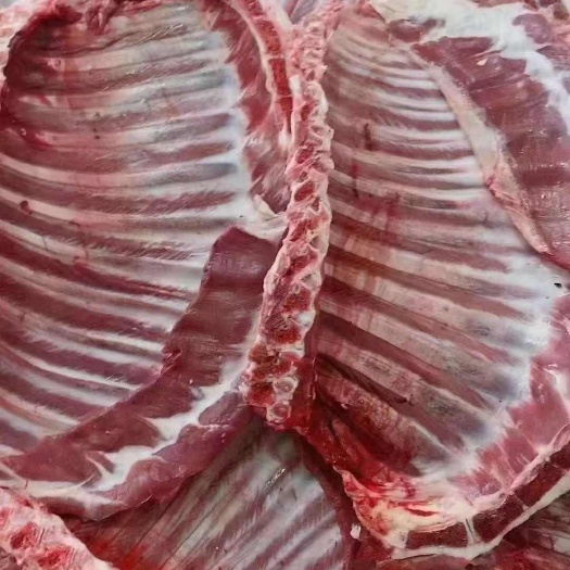 国产新鲜羊排 新疆直发喀什精选羊肉 美味营养 安全放心