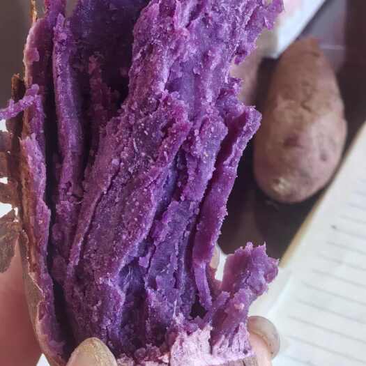 莱阳市紫薯