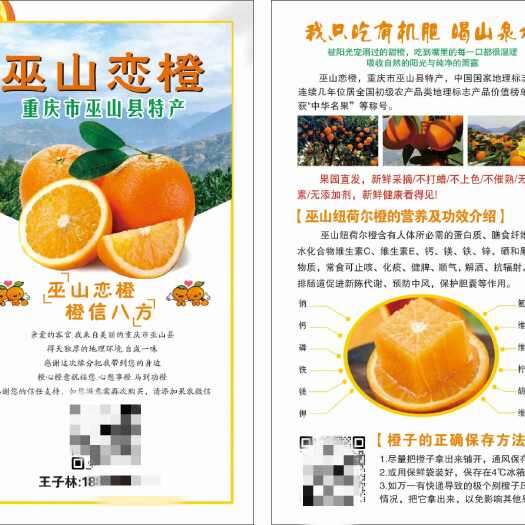 巫山重庆市巫山县新鲜纽荷尔橙子产地直发
