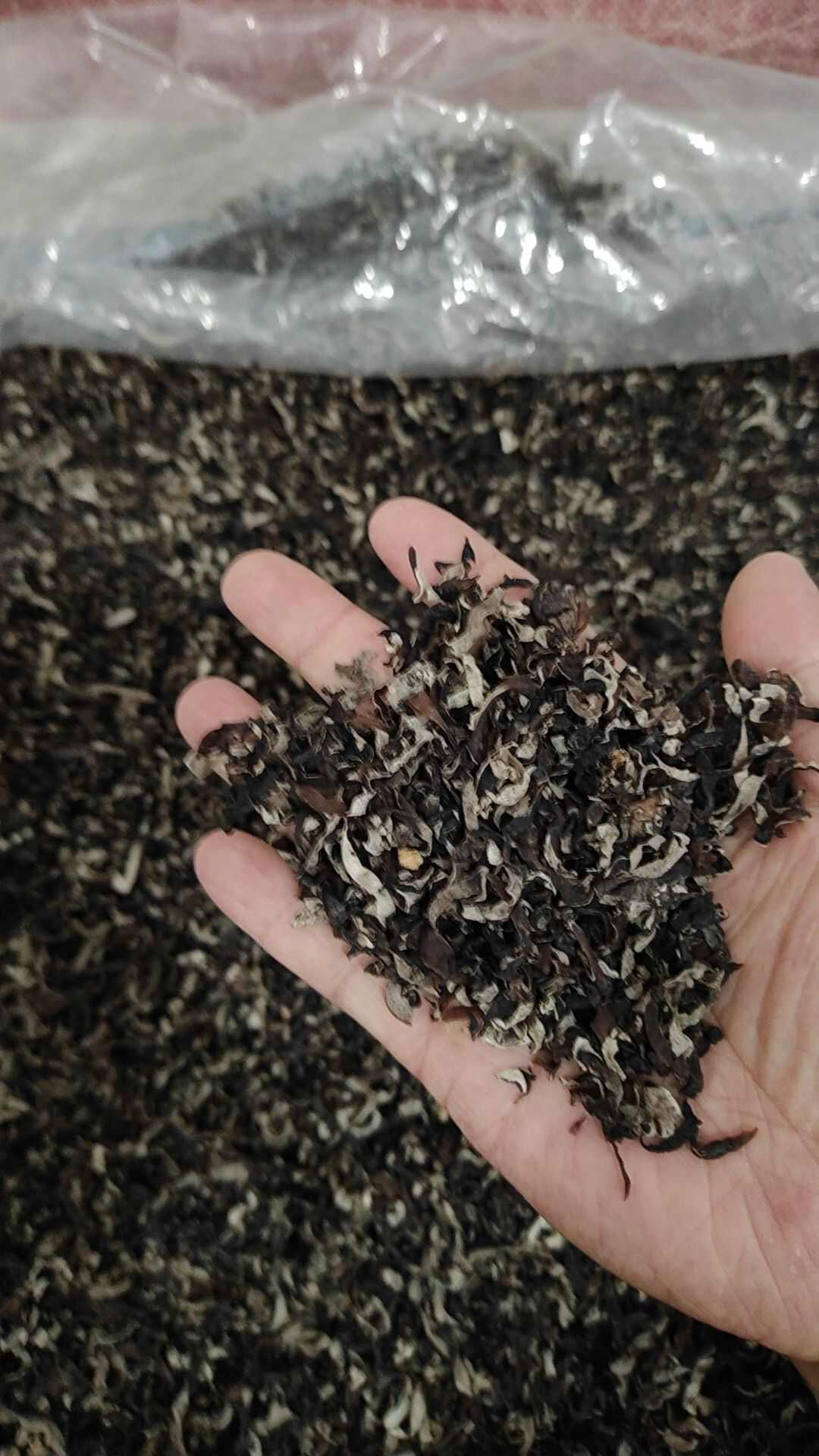 干木耳黑木耳商用木耳干貨碎木耳絲火鍋用餃子餡混沌剁餡木耳打鹵
