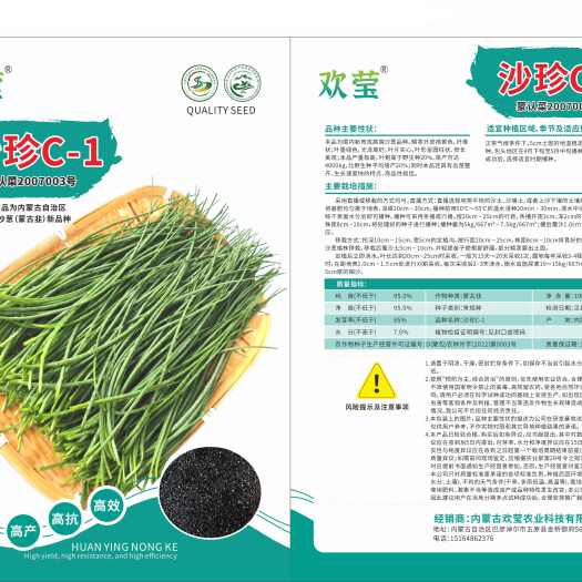 乌中旗蒙认证菜，沙珍C—1沙葱新品种新技术