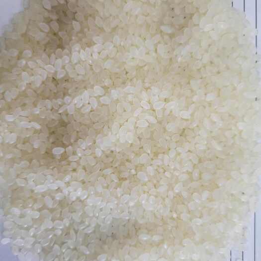 桦川县珍珠米，23年-24年，佳木斯发货，批拉批结，品质保证。