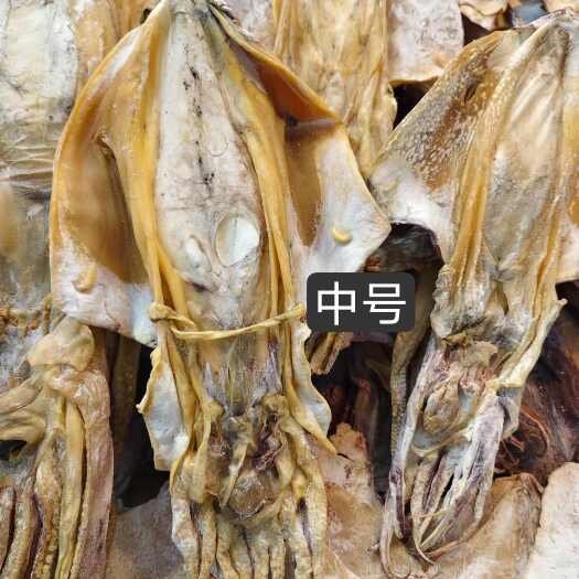 成都中号墨鱼干淡干货大货批发零售