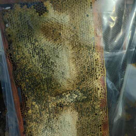 全州县巢蜜