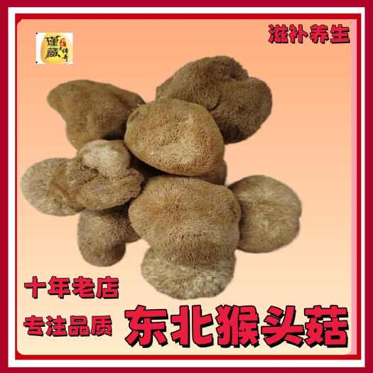 成都猴头菇大货批发现货
