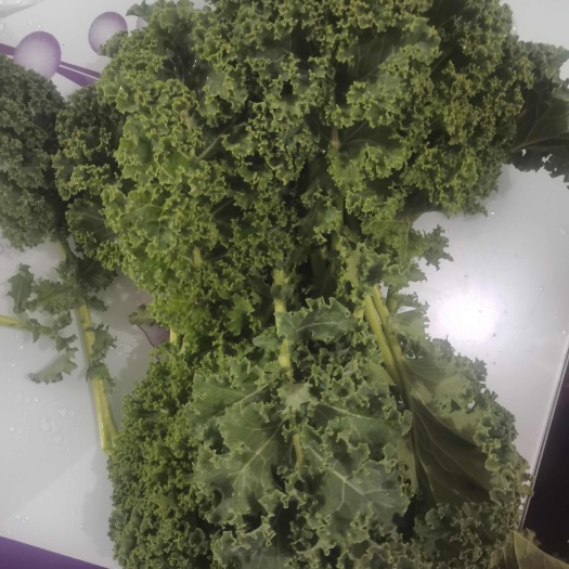 睢县羽衣甘蓝，通货