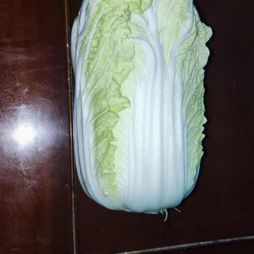 睢县大娃娃菜