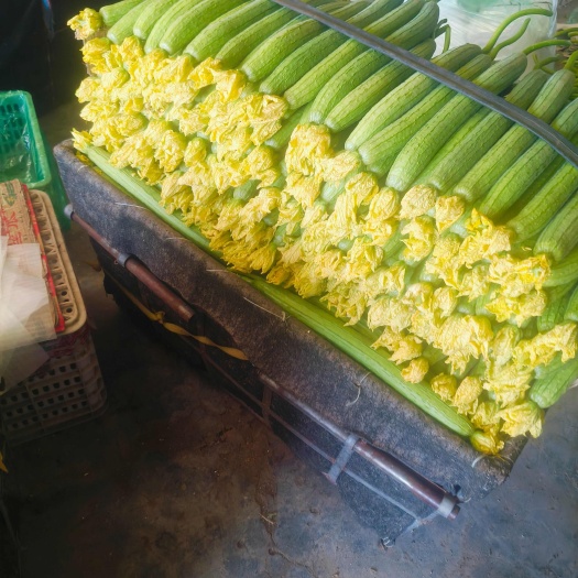寿光市鲜花丝瓜，丝瓜精品鲜花