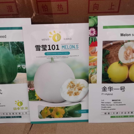 南阳萌香系列 甜瓜种子 香脆甜