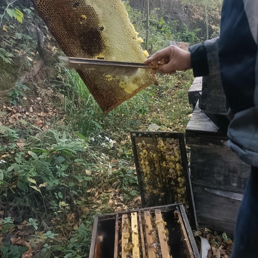 全州县蜂蜜