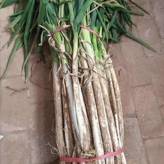 夏津县大葱，杆粗杆实，杆长，产地直批！