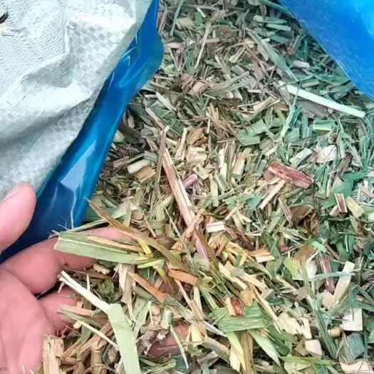来宾批发甘蔗尾叶