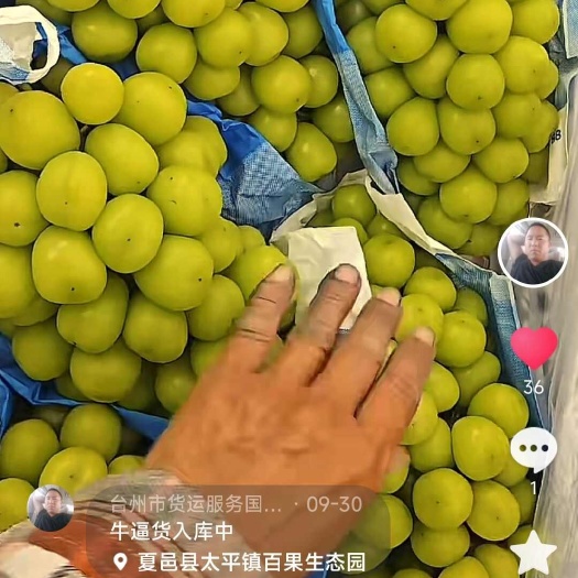 阳光玫瑰一级二级果