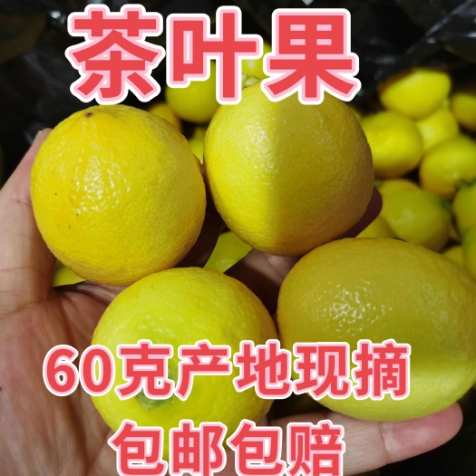 安岳柠檬9.9元5斤现摘现发产地直发坏果包赔包邮