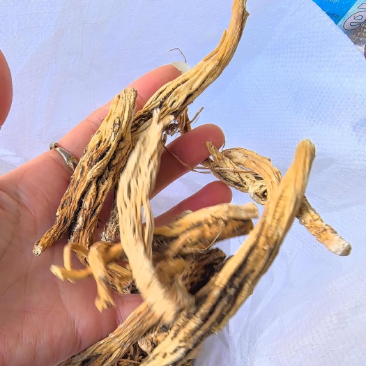 鄄城县山东鄄城特产 高品质秦艽 麻花艽 中药材 批发直销