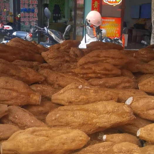 通道县葛根