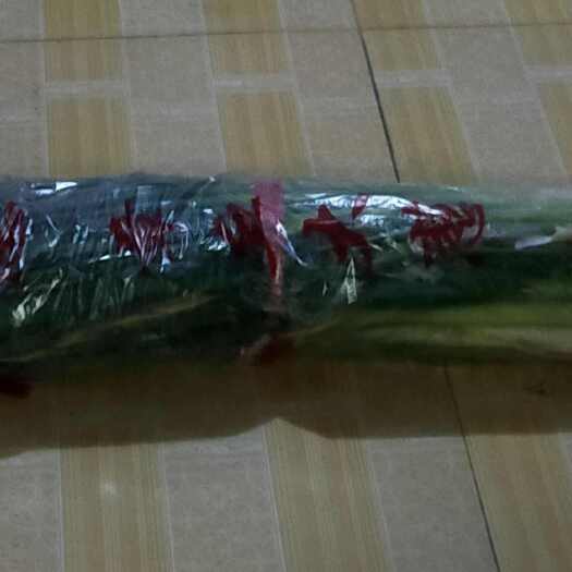 济南章丘大葱