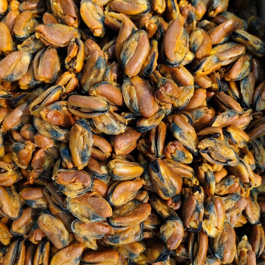 大淡菜 批发各种干货海鲜批发