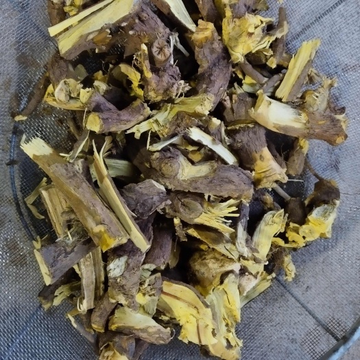 狗奶根（东北三棵针）