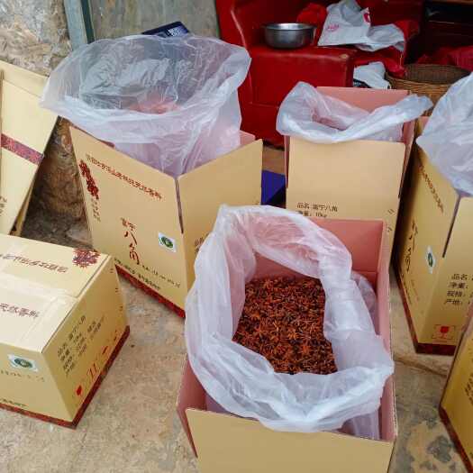 富宁县中國八角之鄉雲南富寧大红八角