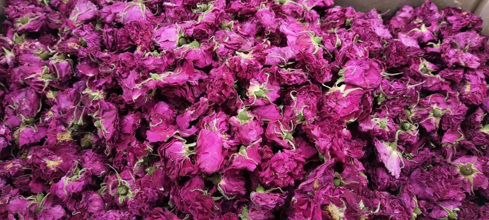 平阴玫瑰花冠 无硫无熏 量大价格从优