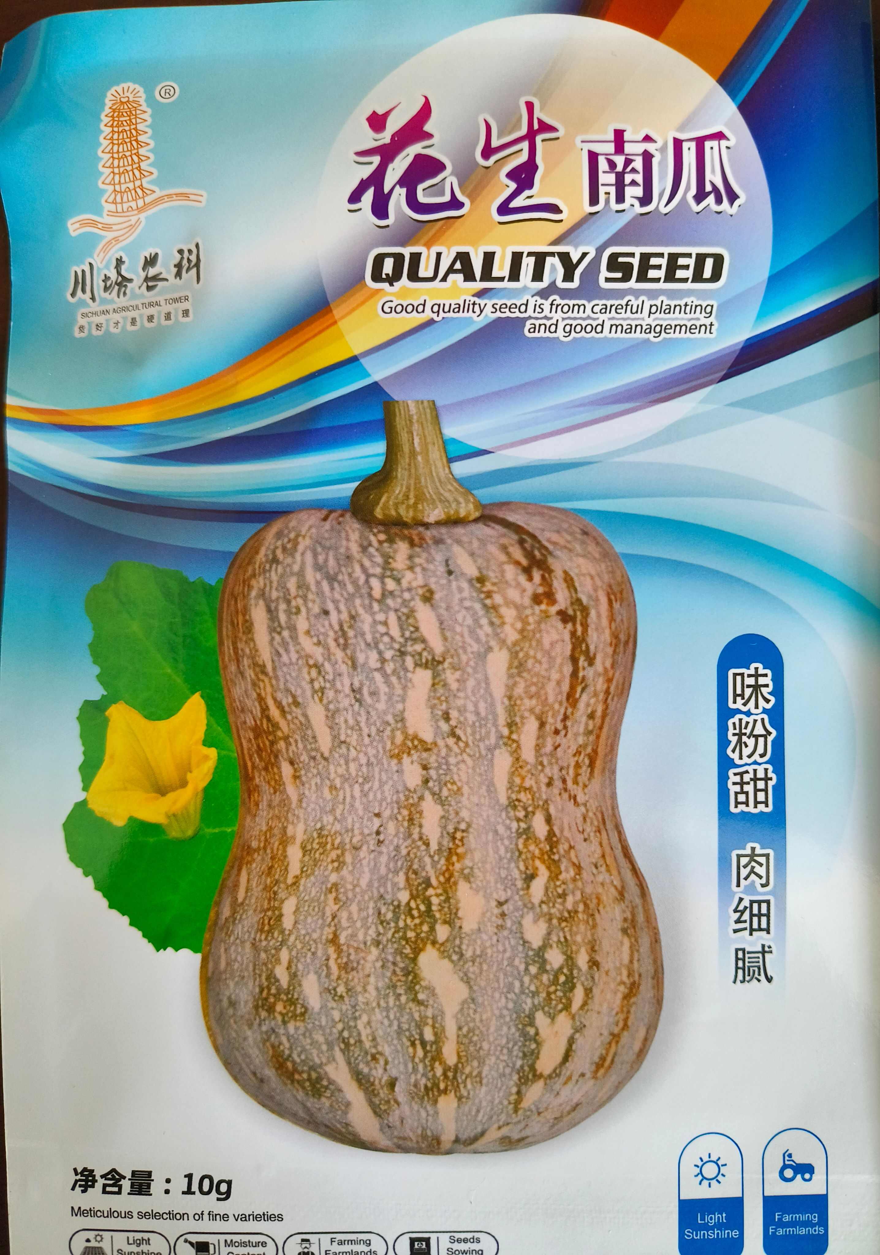花生南瓜种子