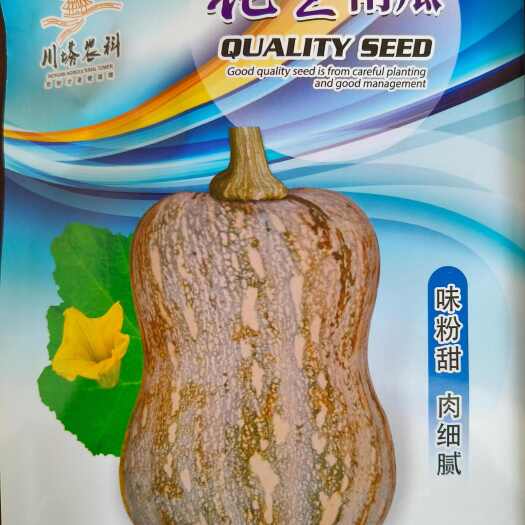 成都花生南瓜种子