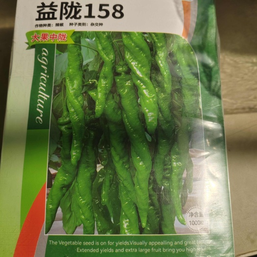 昌乐县益陇158，产量高，品质好，全麻面全螺旋，果型顺直