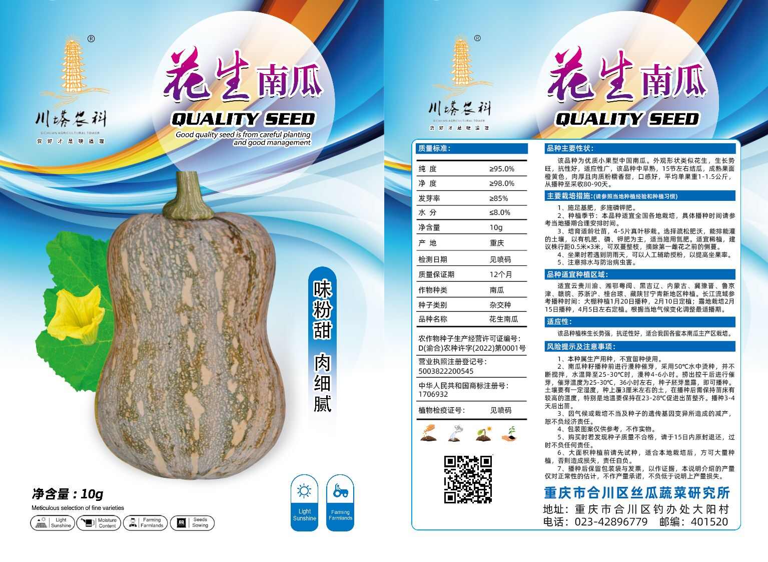 花生南瓜种子