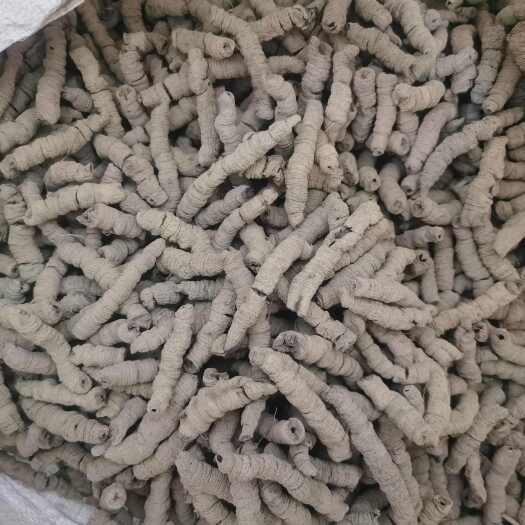 德庆县德庆巴戟天非中药材巴戟天肉晒干抽芯一件代发