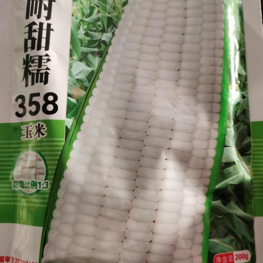 南阳华耐甜糯358国审玉20200482大棒甜糯比1：3