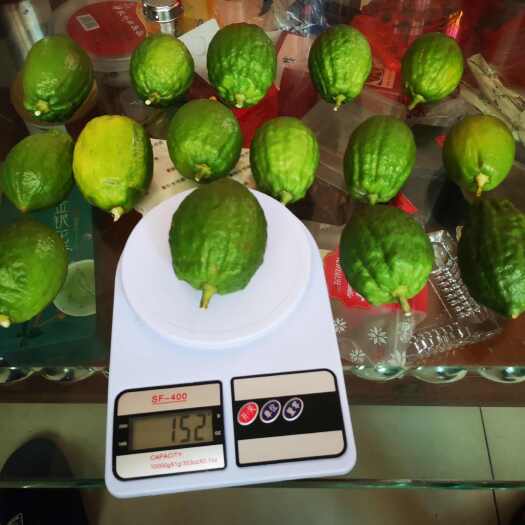 新丰县十香水柠檬