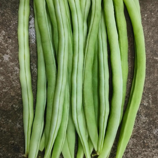 昌宁县云南绿色蔬菜
