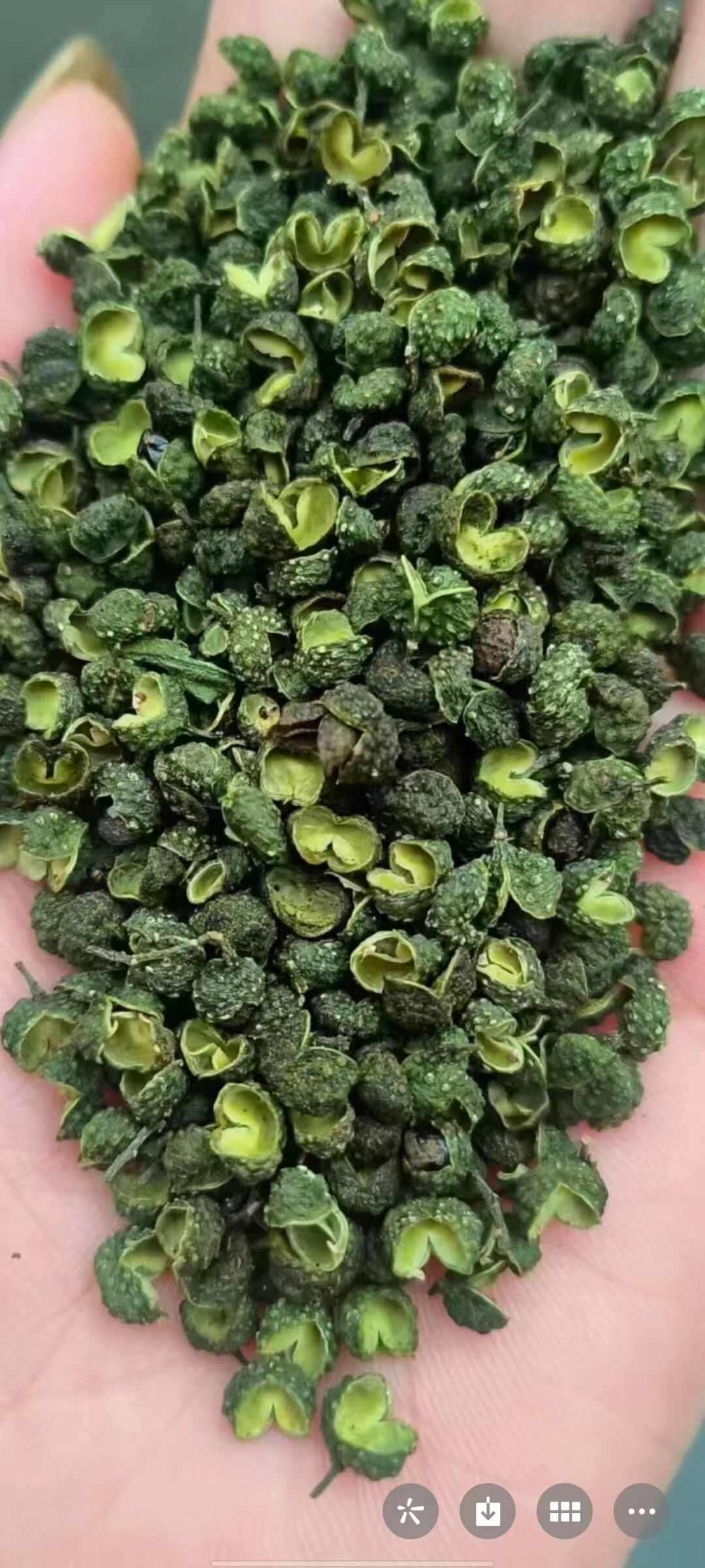 青麻椒 重庆麻椒，颜色绿，麻度高 重庆干花椒