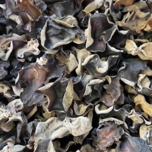七台河东北特产木耳 口感柔 泡发率高