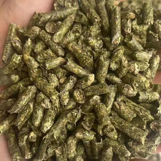 正阳县花生秧
