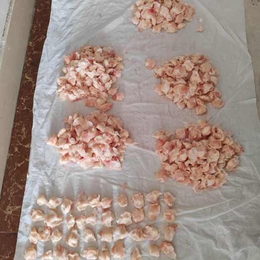 安丘市410粒鸡掌中宝 膝软骨 常年生产供应
